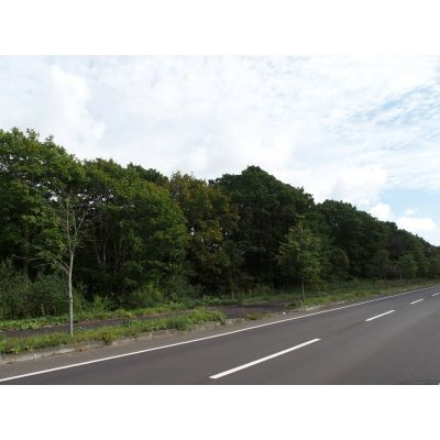売土地　植苗111　24,709坪